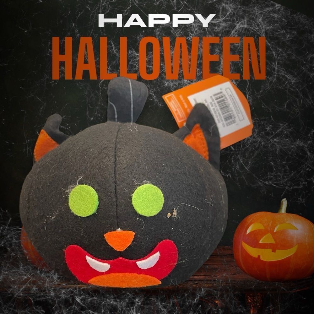 ‎BLACK CAT PUMPKIN